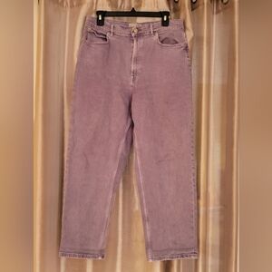 Everlane The Way-High Jean Archroma Daybreak Organic Cotton Size 31 Regular